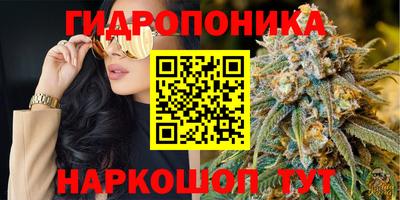 эйфоретик Можга