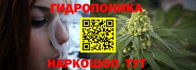 эйфоретик Можга