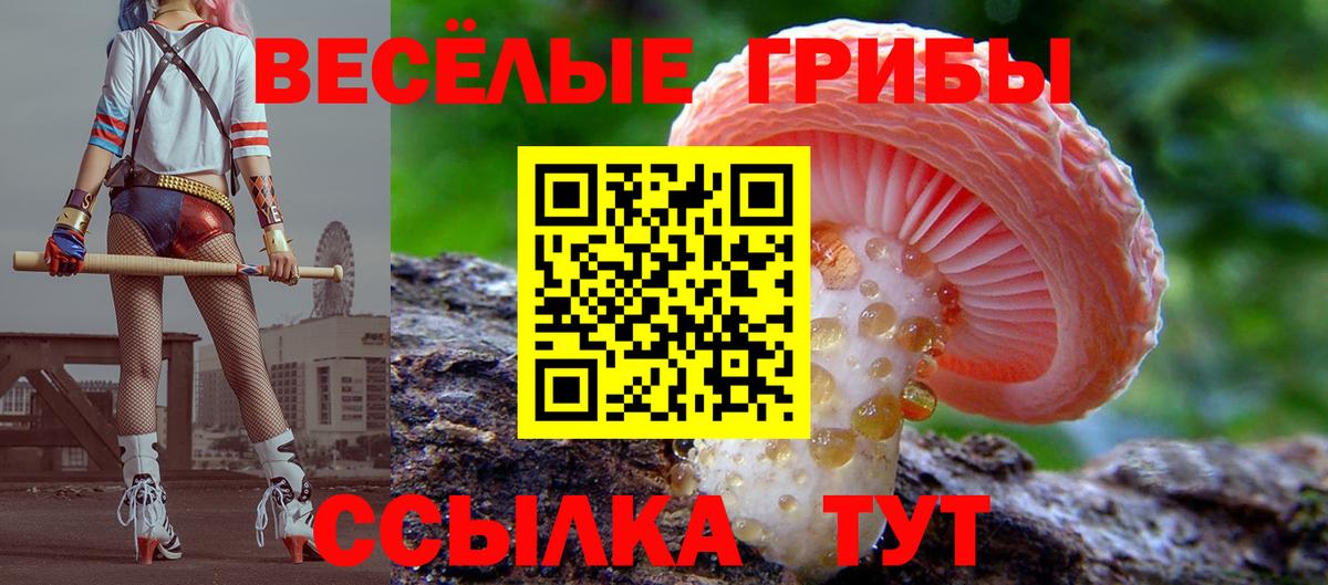 Псилоцибиновые грибы мухоморы Северобайкальск